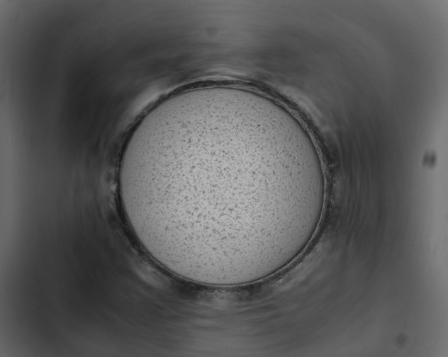 X0000102861355200809021415