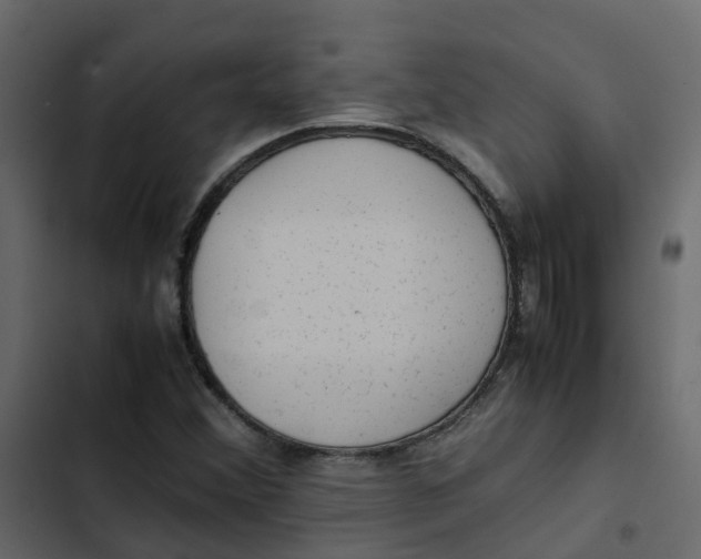 X0000102861356200809021415