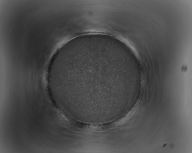 X0000102861357200809021415