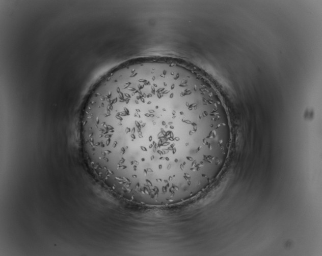 X0000102861358200809021415