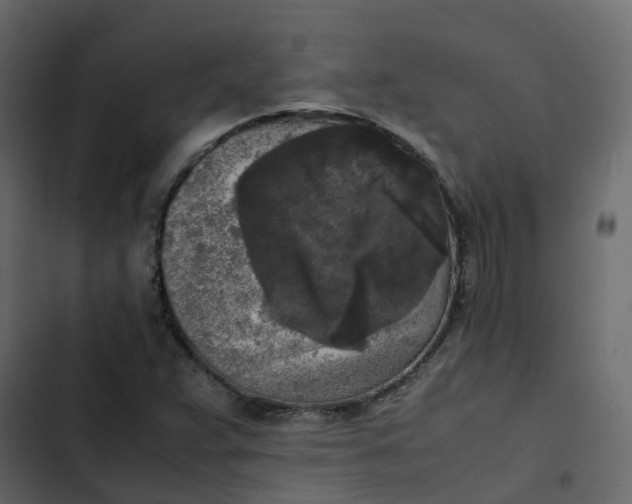 X0000102861359200809021415