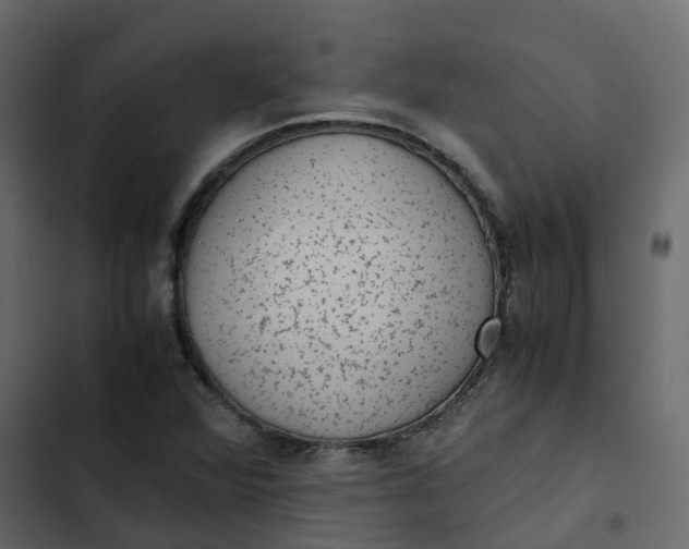 X0000102861360200809021415