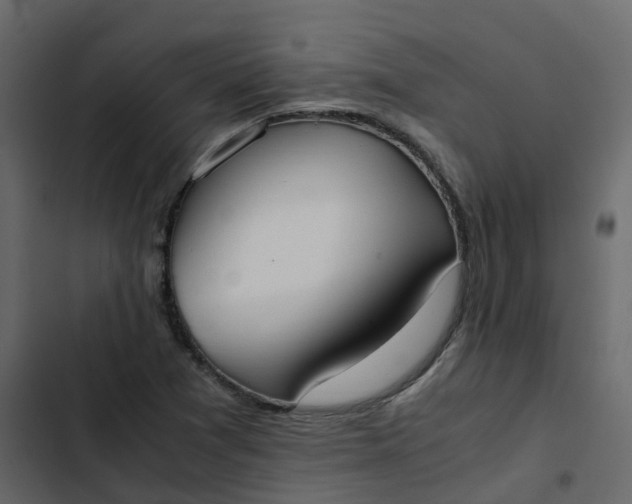 X0000102861361200809021415