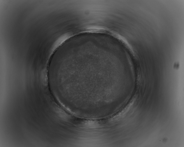 X0000102861362200809021415