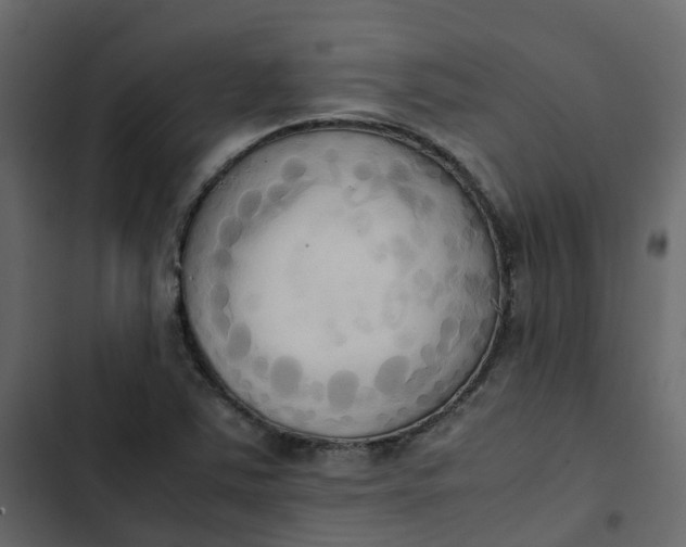 X0000102861363200809021415