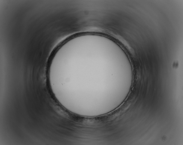 X0000102861364200809021415