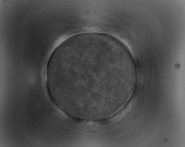 X0000102861365200809021415