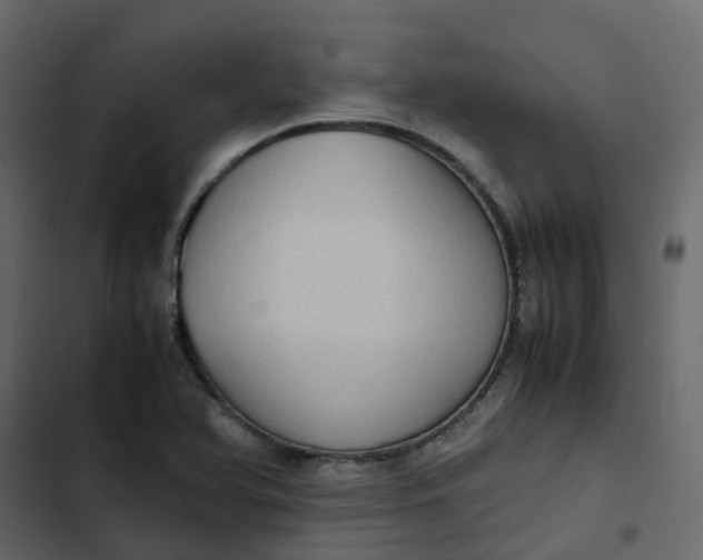 X0000102861366200809021415