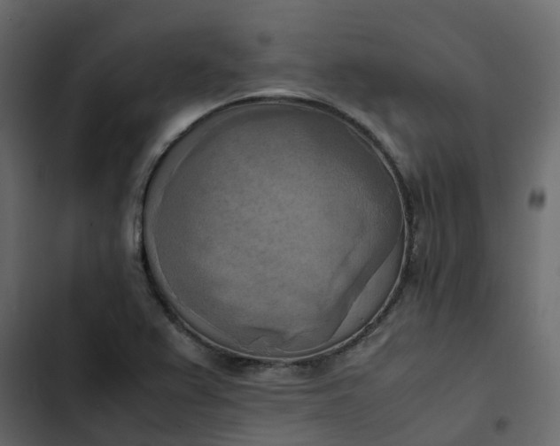 X0000102861367200809021415