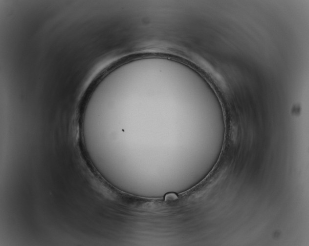 X0000102861368200809021415