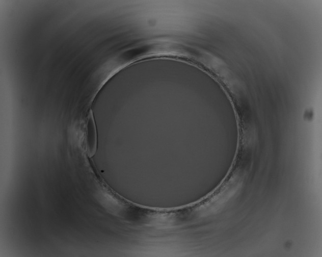 X0000102861369200809021415