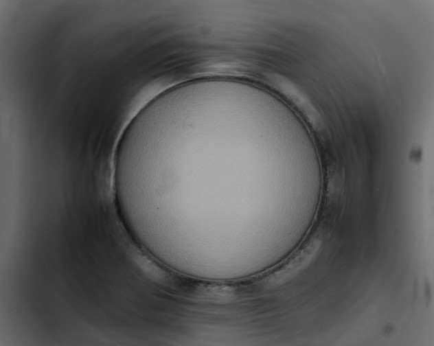 X0000102861370200809021415