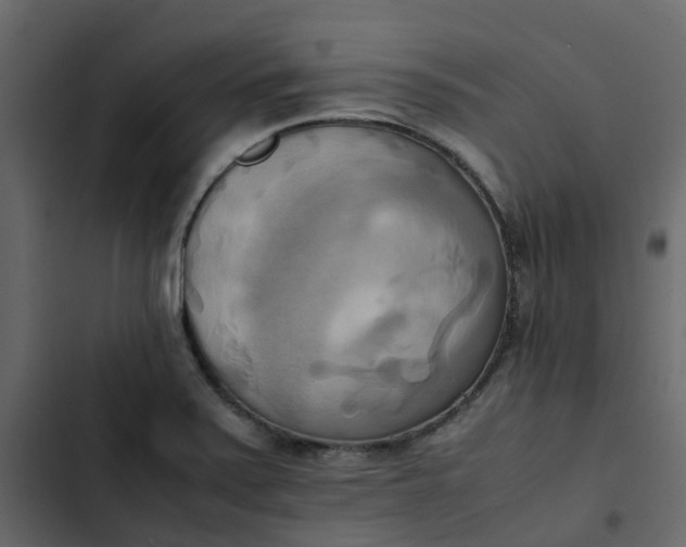 X0000102861371200809021415