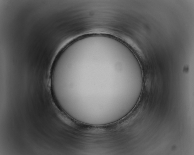 X0000102861372200809021415