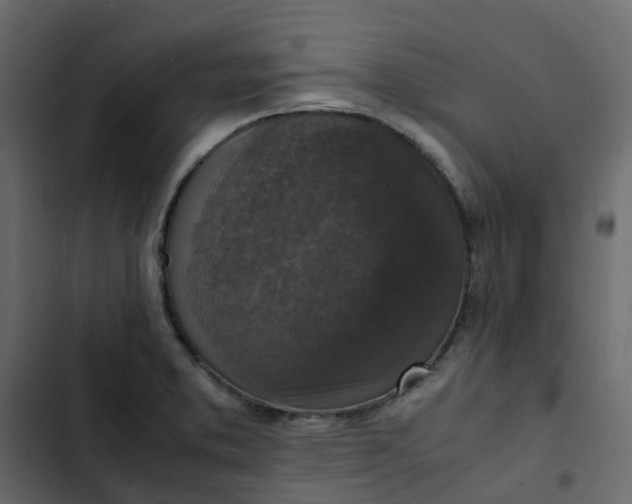 X0000102861373200809021415