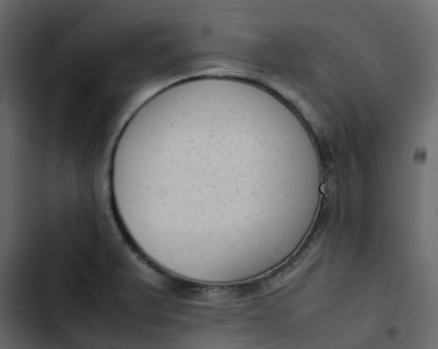 X0000102861375200809021415