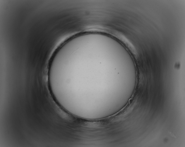 X0000102861376200809021414