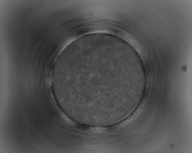 X0000102861377200809021414