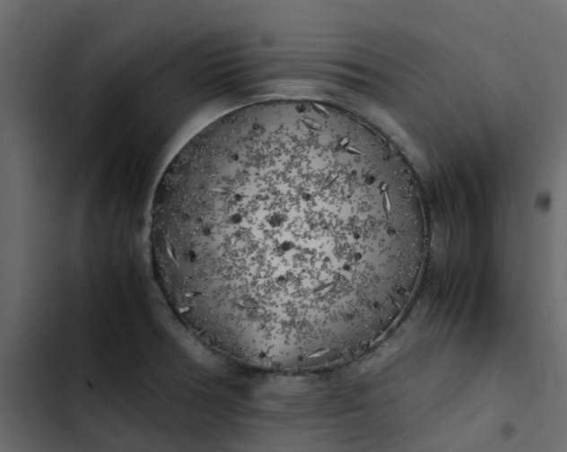 X0000102861378200809021414