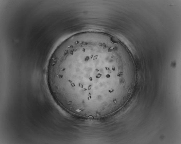 X0000102861379200809021414