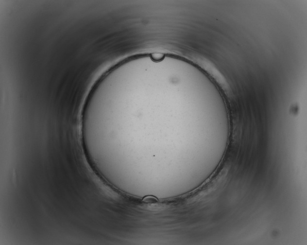 X0000102861380200809021414