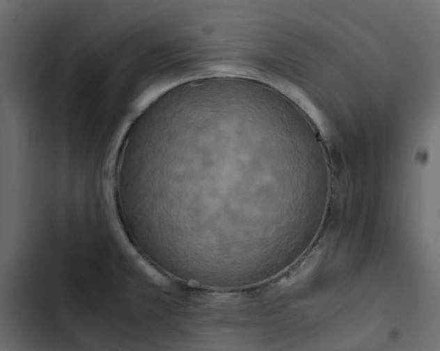 X0000102861381200809021414