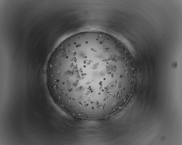 X0000102861382200809021414