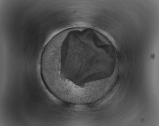 X0000102861383200809021414