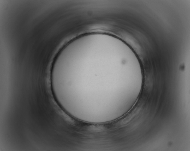 X0000102861384200809021414