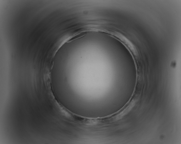 X0000102861385200809021414