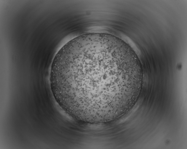 X0000102861386200809021414