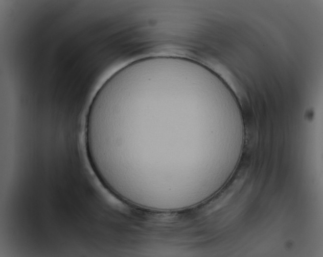 X0000102861387200809021414