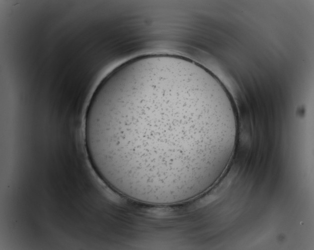 X0000102861388200809021414