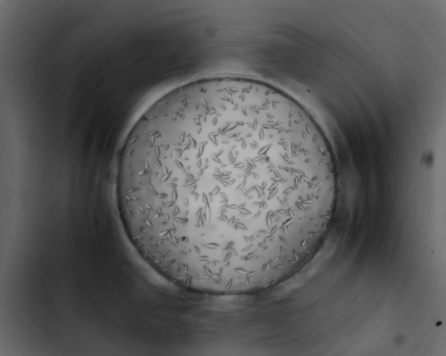 X0000102861390200809021414