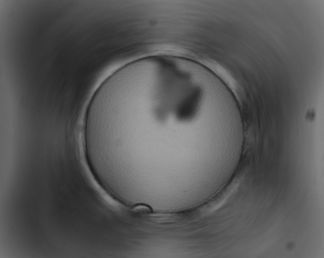 X0000102861391200809021414