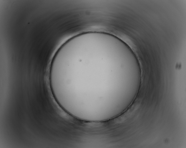 X0000102861392200809021414