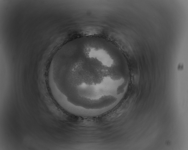 X0000102861393200809021413