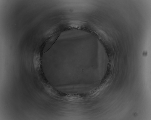 X0000102861394200809021413