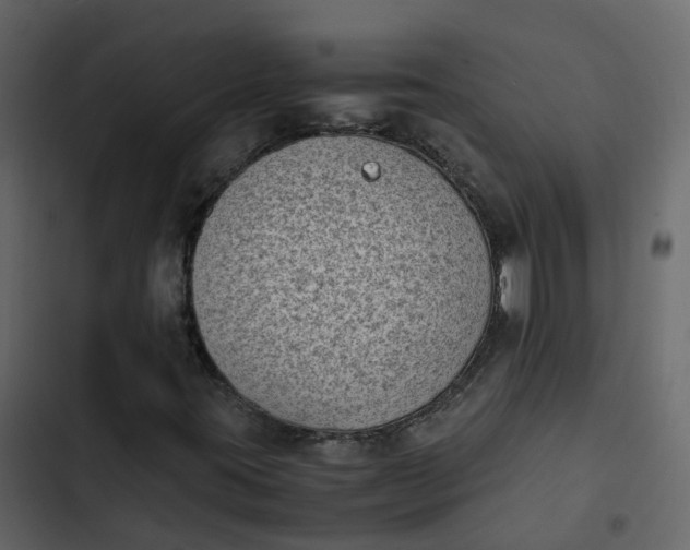 X0000102861395200809021413