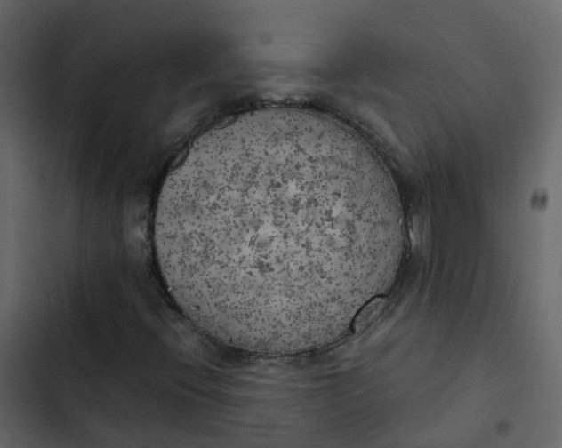 X0000102861396200809021413