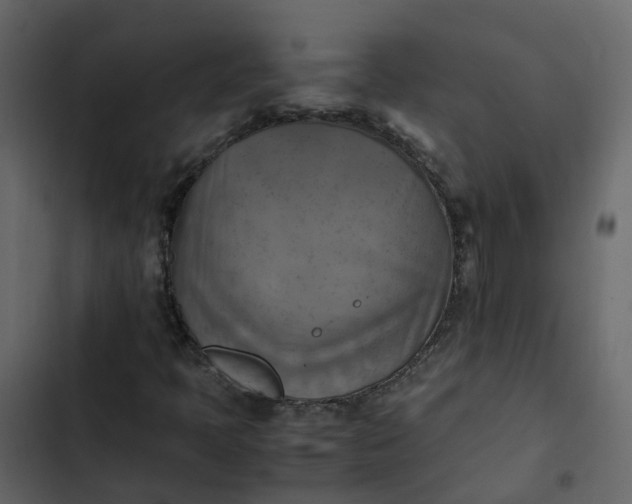 X0000102861397200809021414