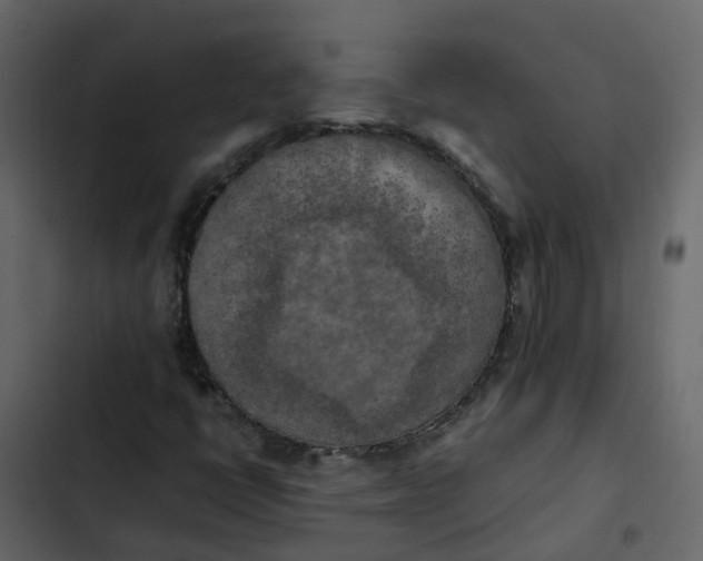 X0000102861398200809021414