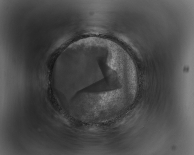 X0000102861399200809021414