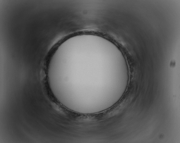 X0000102861400200809021414