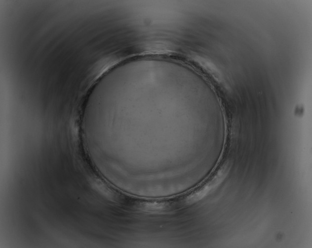 X0000102861401200809021414