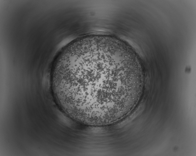 X0000102861402200809021414