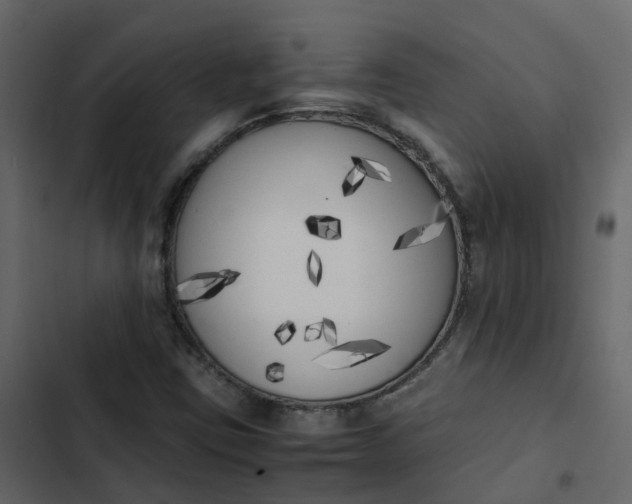 X0000102861403200809021414