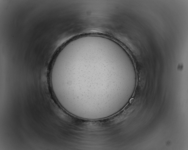 X0000102861404200809021414