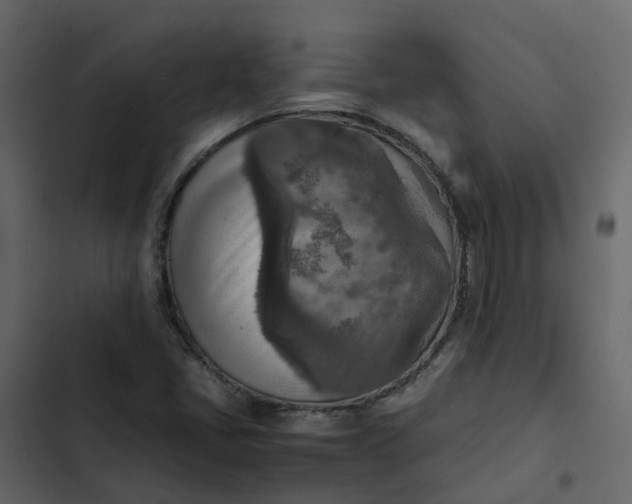 X0000102861405200809021414