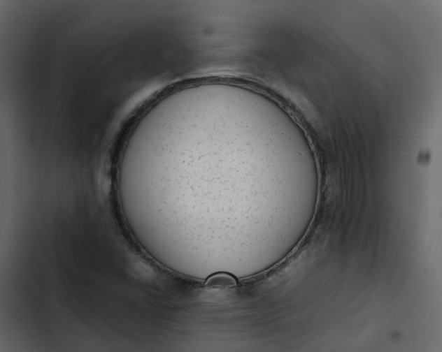 X0000102861406200809021414